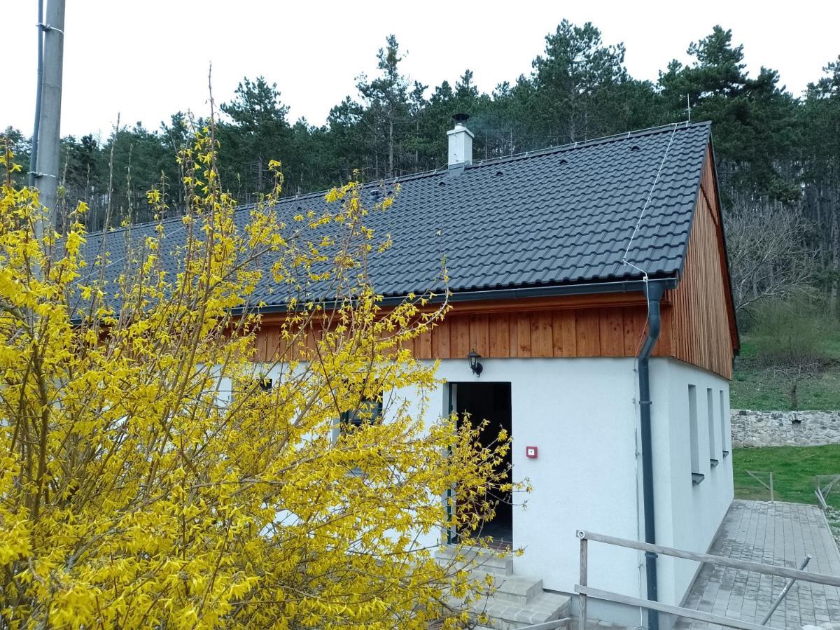 Penzion Litohlavy 17 - Na Samote U Lesa Kraluv Dvur Ngoại thất bức ảnh